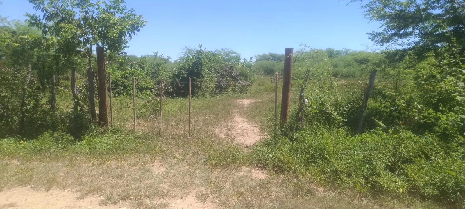 Terreno à venda de 6 ha em Mauriti, CE, Brasil