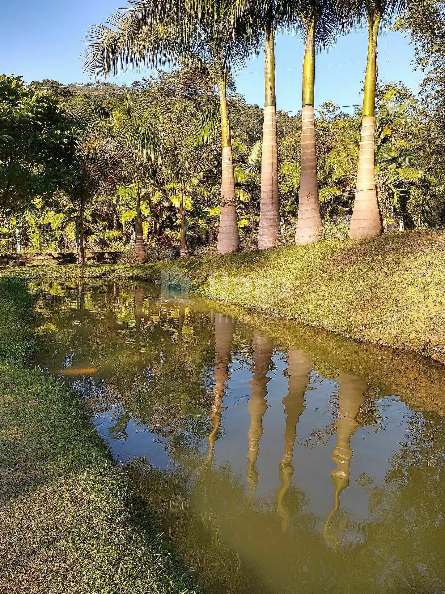 Chácara à venda de 4 ha em Massaranduba, SC, Brasil