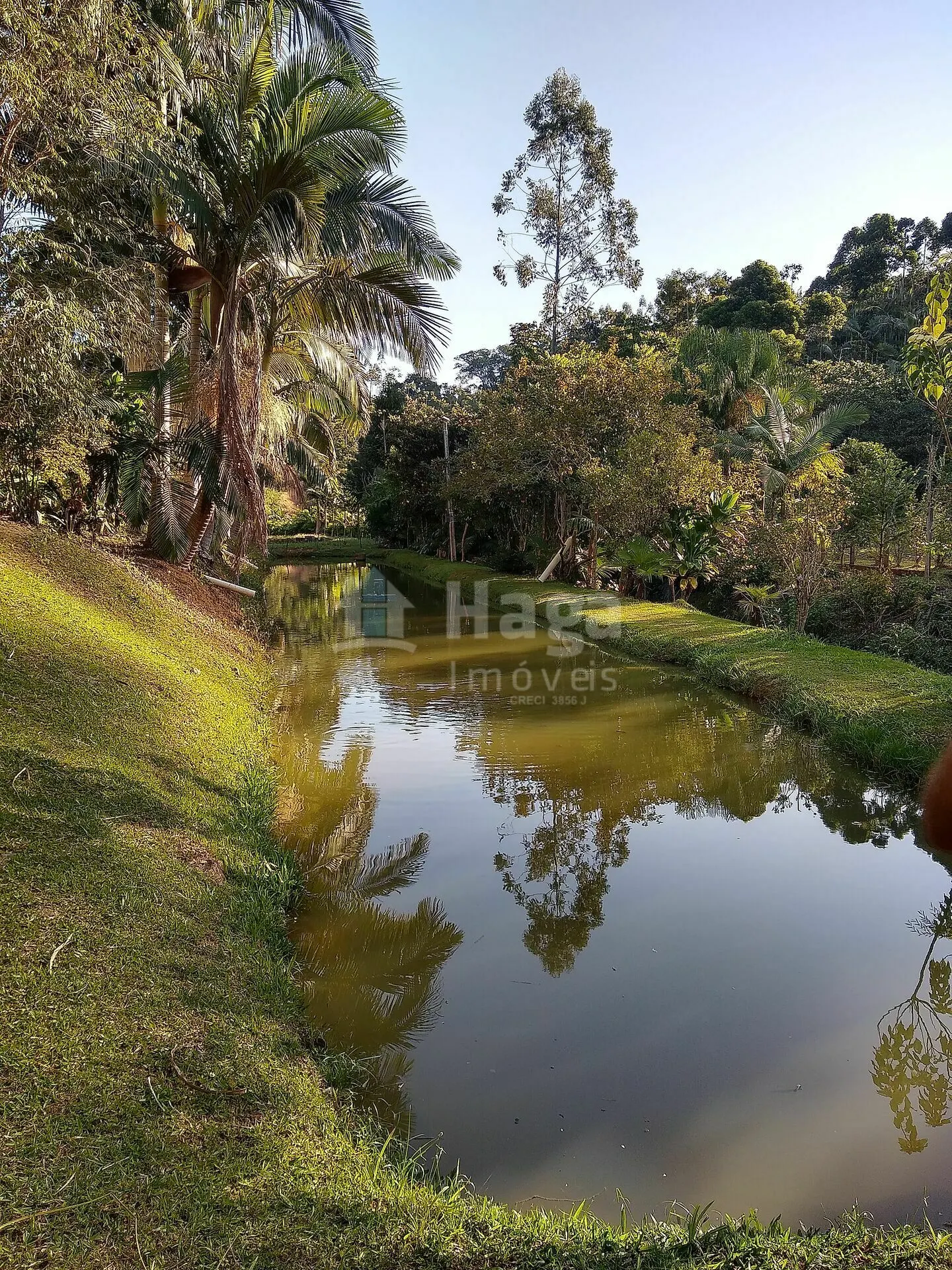 Chácara à venda de 4 ha em Massaranduba, SC, Brasil