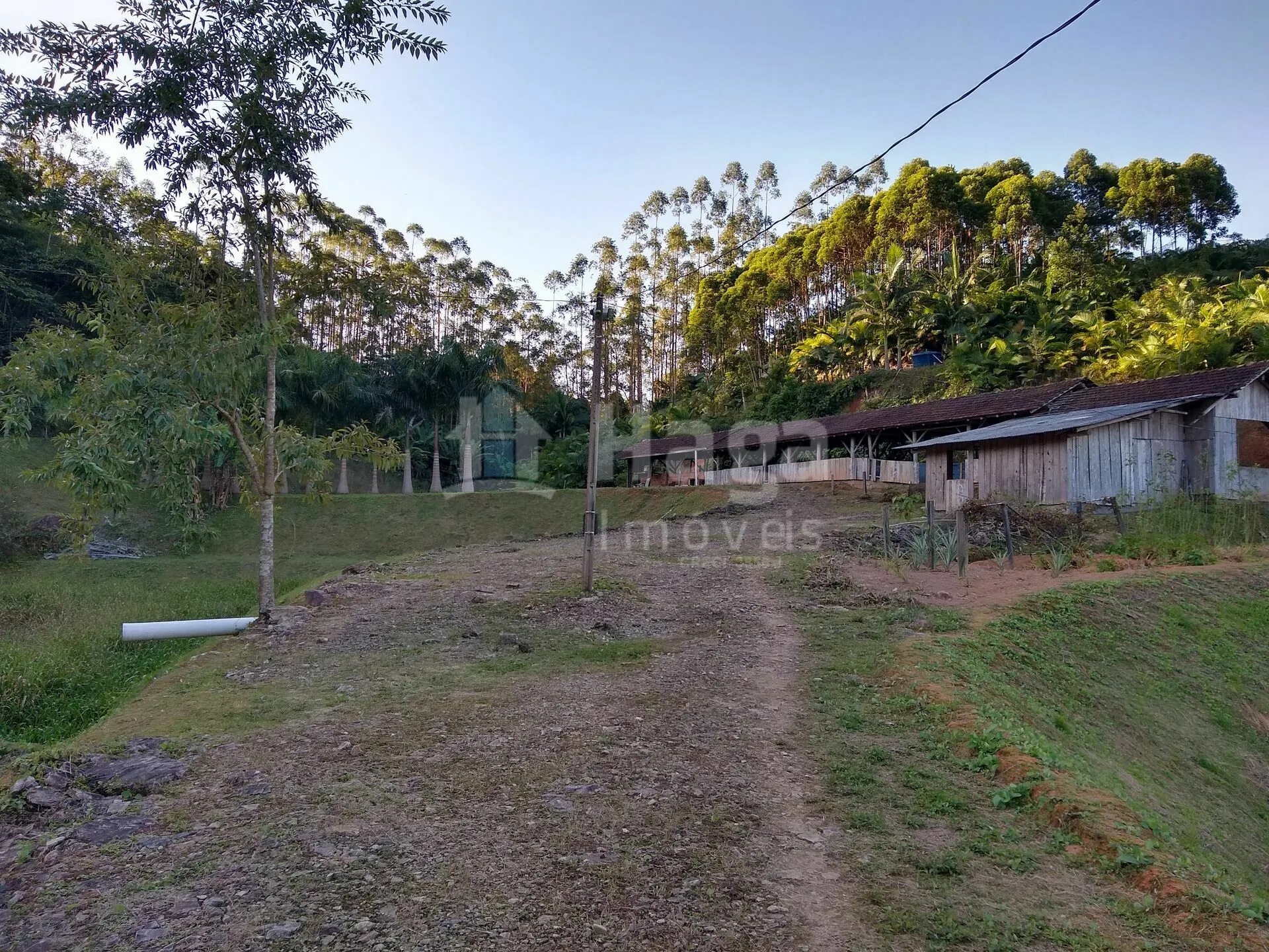 Chácara à venda de 4 ha em Massaranduba, SC, Brasil