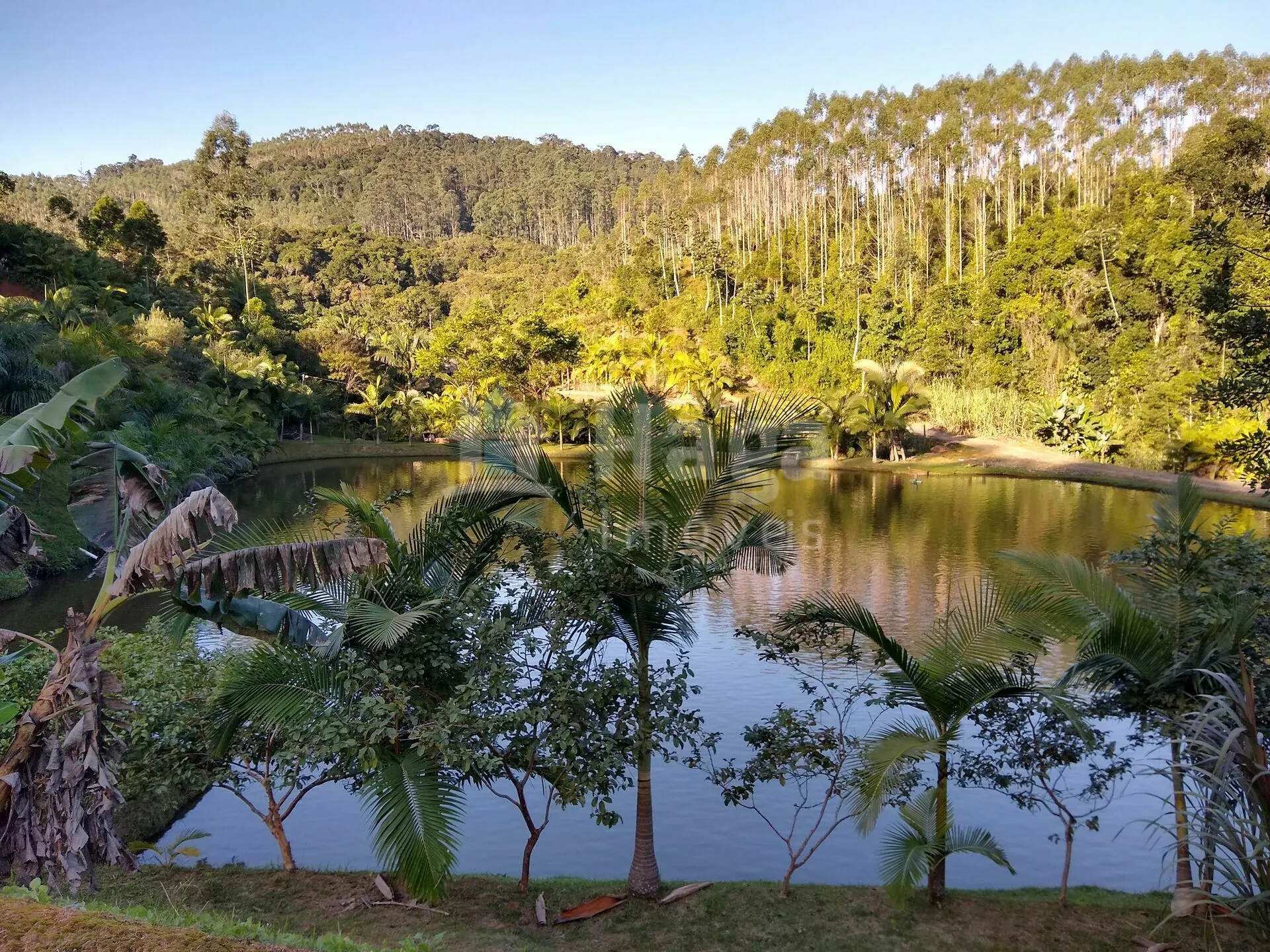 Chácara à venda de 4 ha em Massaranduba, SC, Brasil