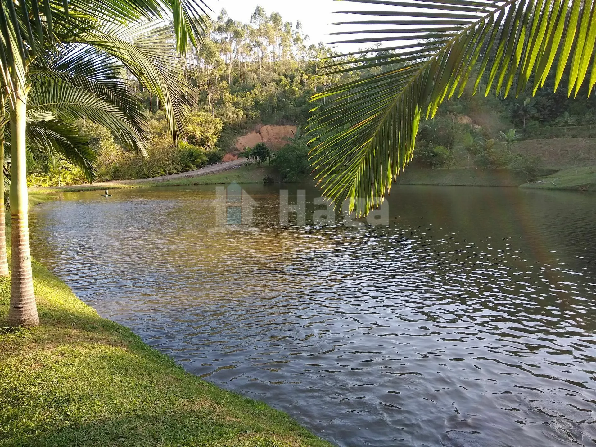 Chácara à venda de 4 ha em Massaranduba, SC, Brasil