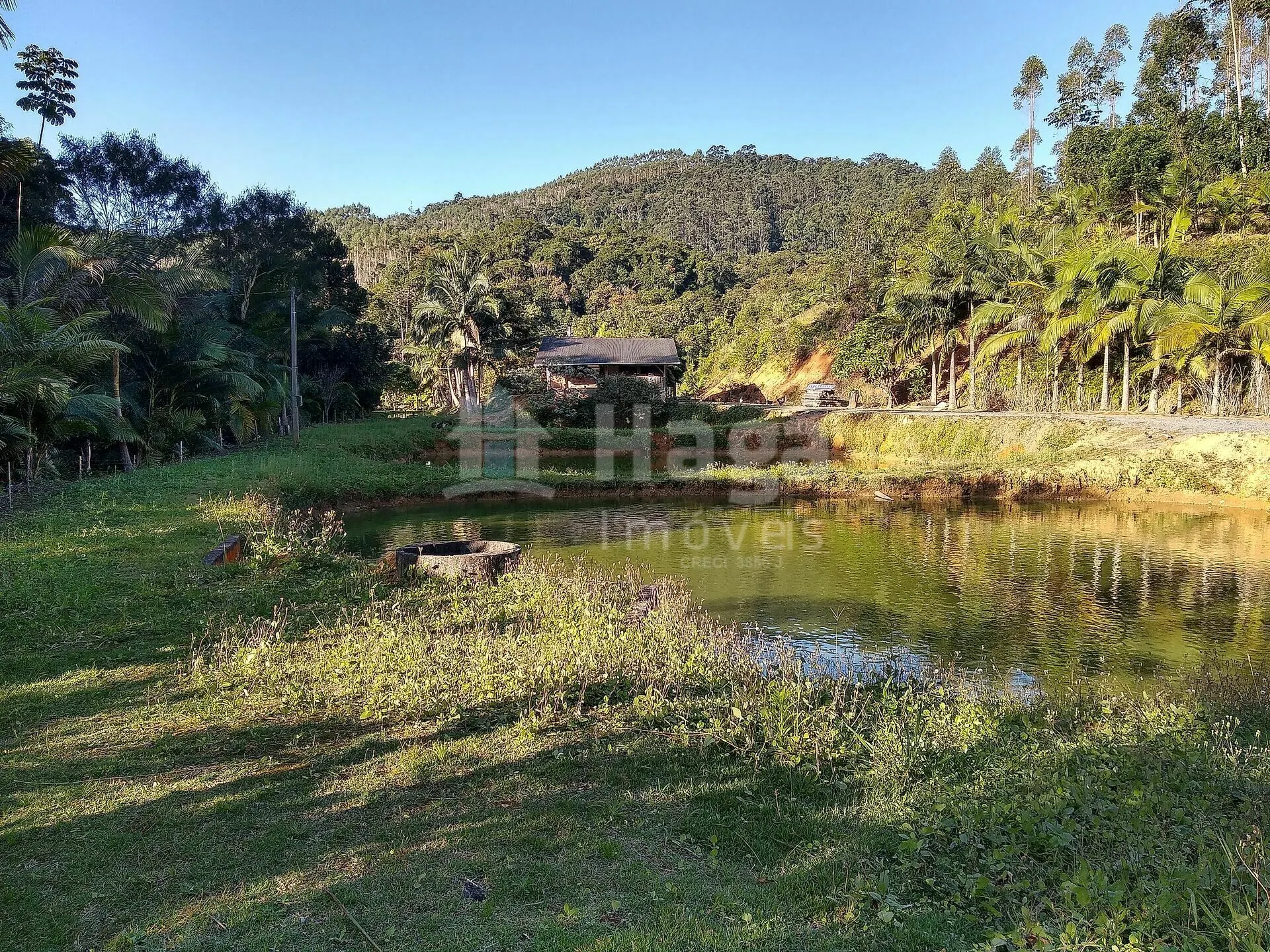 Chácara à venda de 4 ha em Massaranduba, SC, Brasil