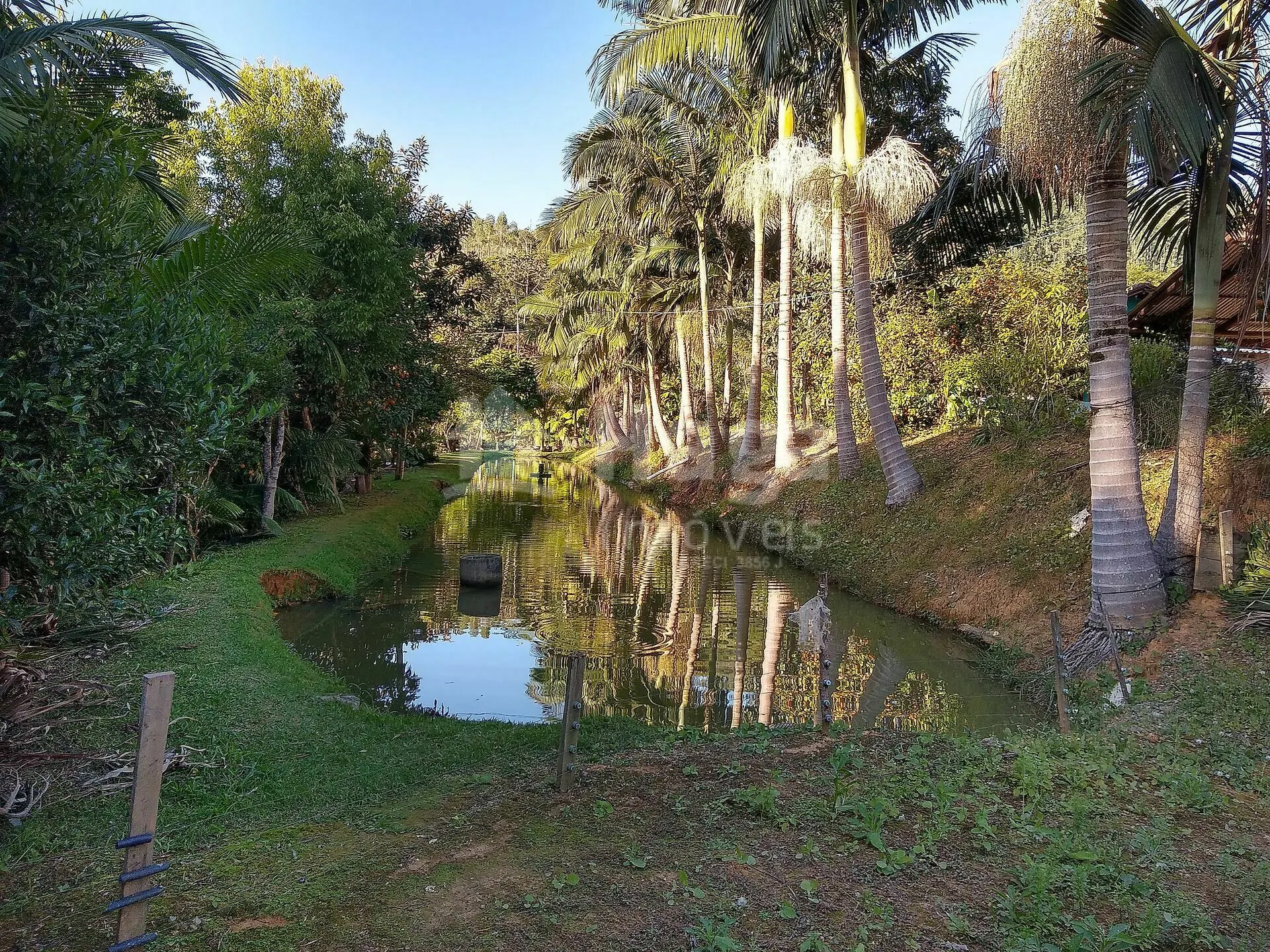 Chácara à venda de 4 ha em Massaranduba, SC, Brasil