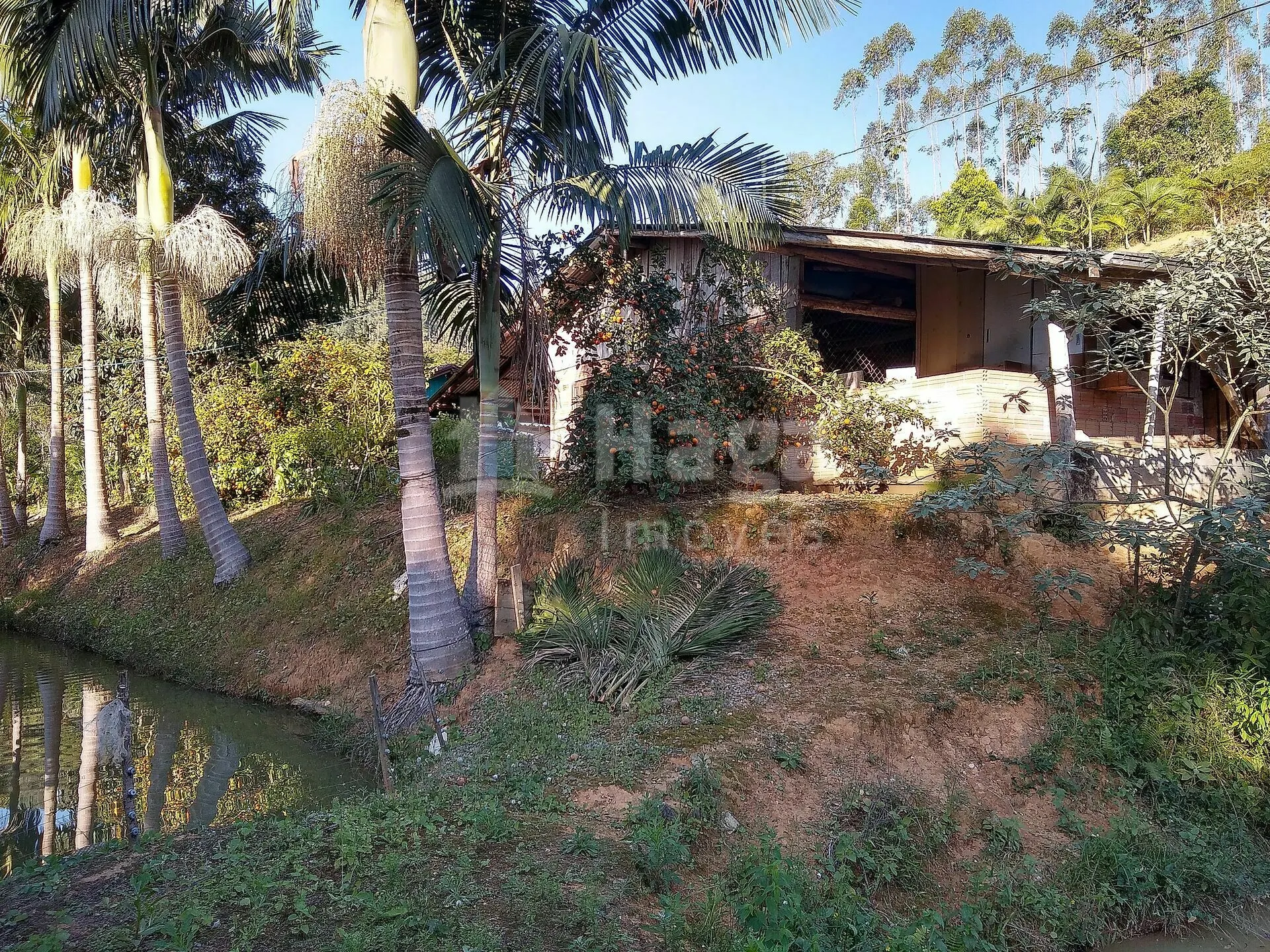 Chácara à venda de 4 ha em Massaranduba, SC, Brasil