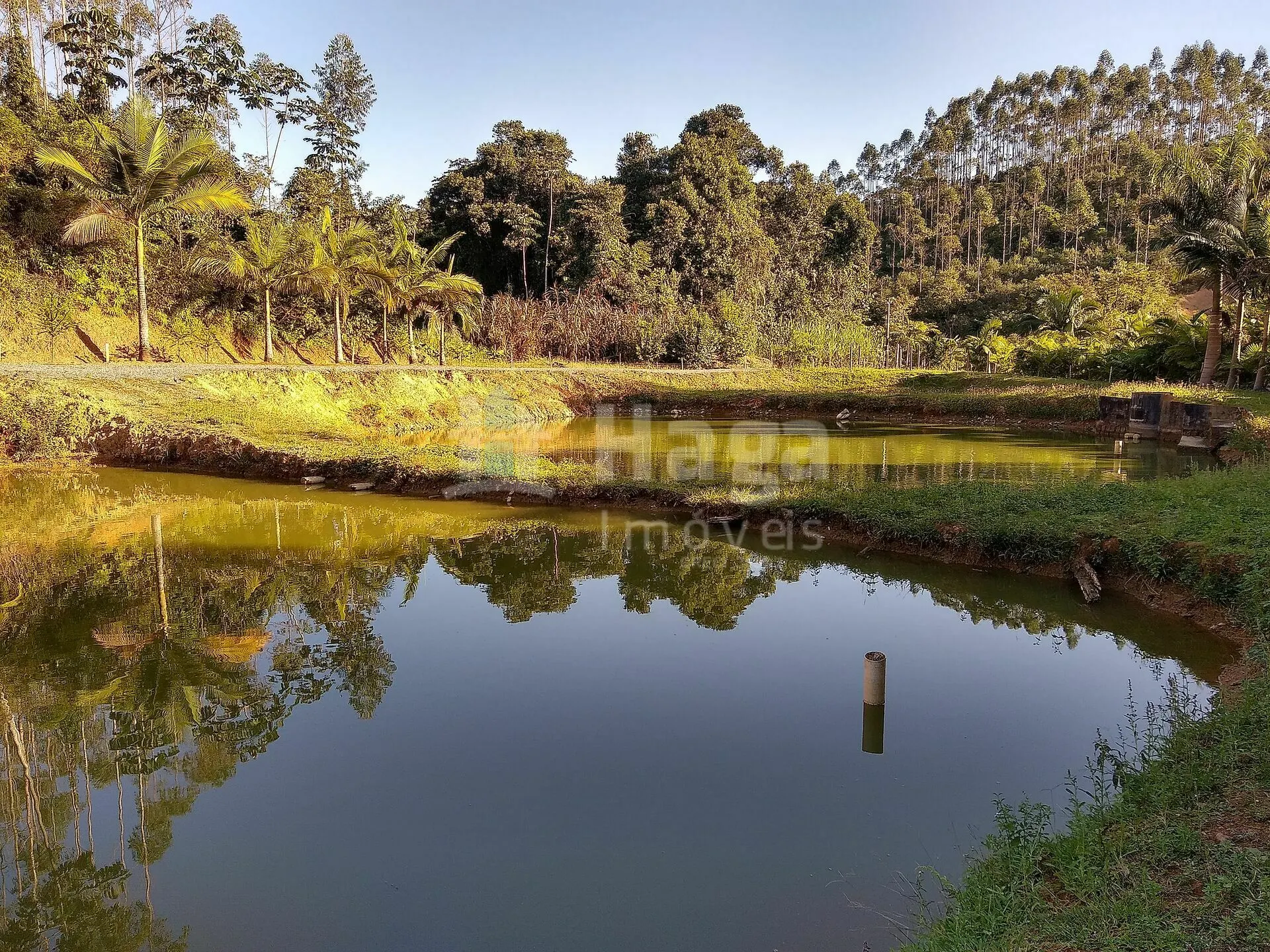 Chácara à venda de 4 ha em Massaranduba, SC, Brasil
