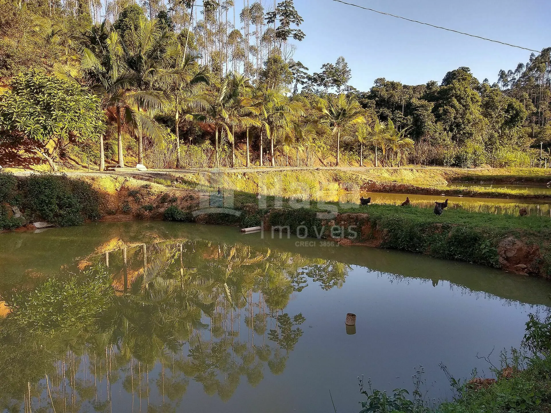 Chácara à venda de 4 ha em Massaranduba, SC, Brasil