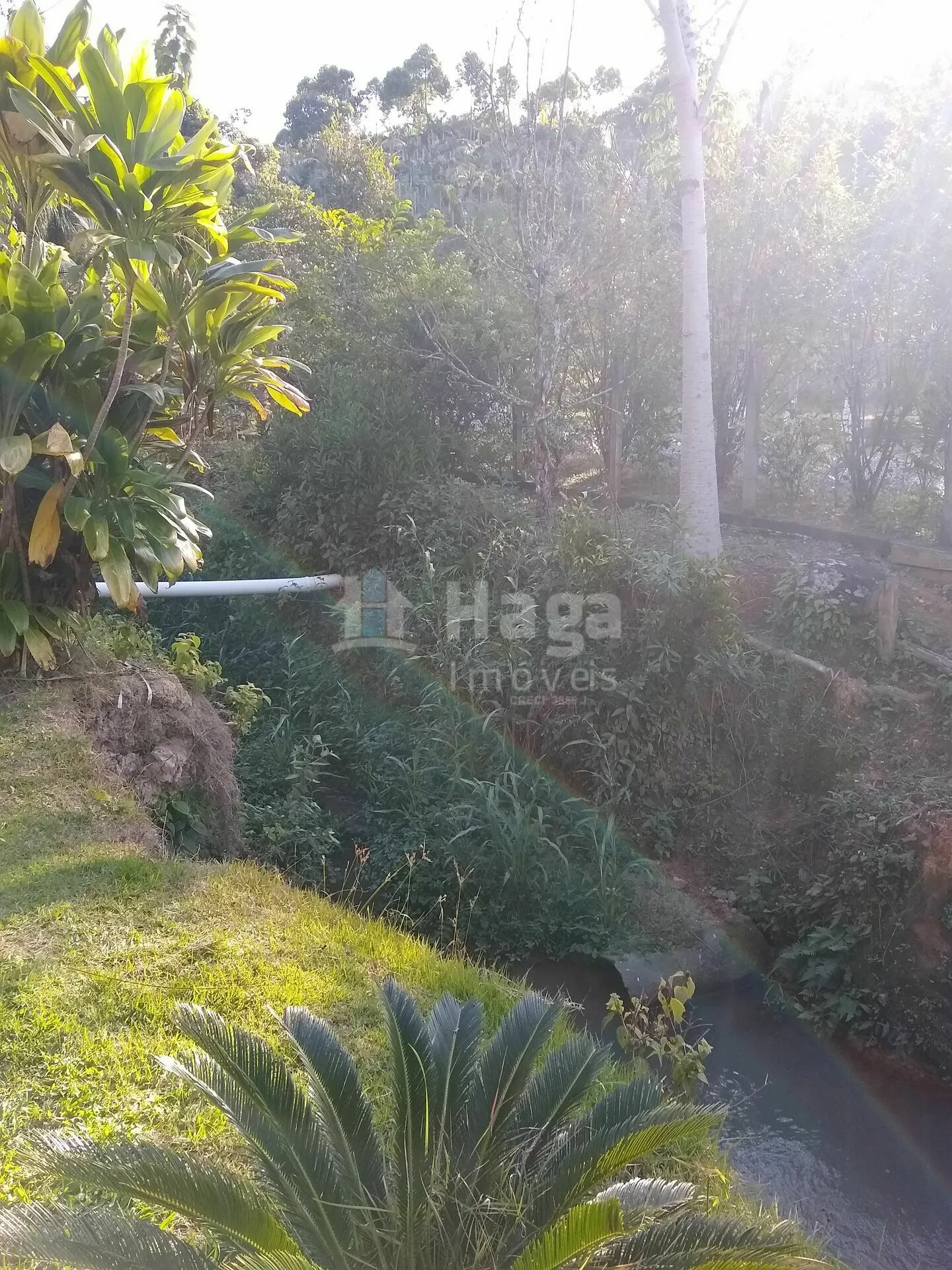 Chácara à venda de 4 ha em Massaranduba, SC, Brasil