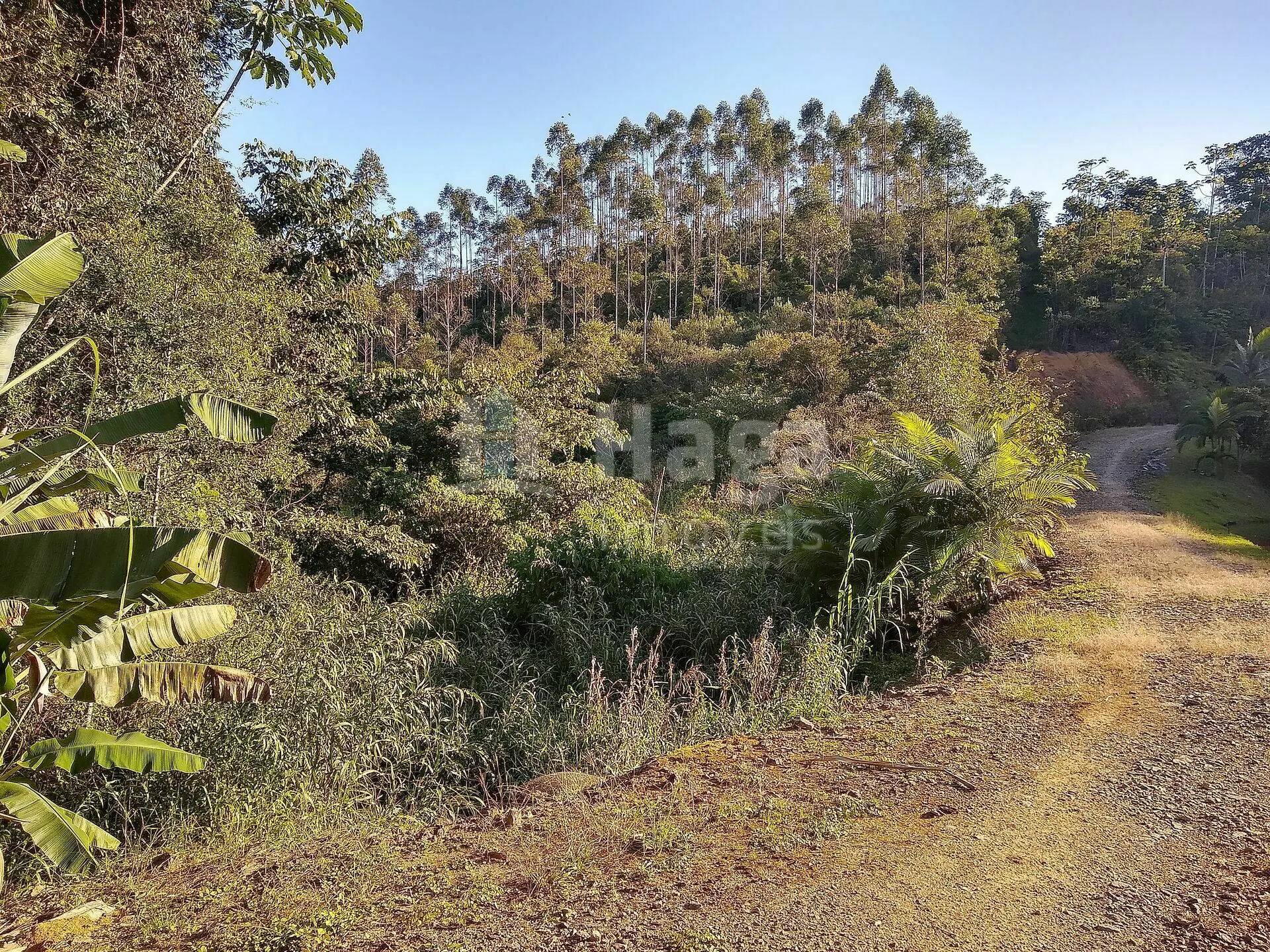 Chácara à venda de 4 ha em Massaranduba, SC, Brasil
