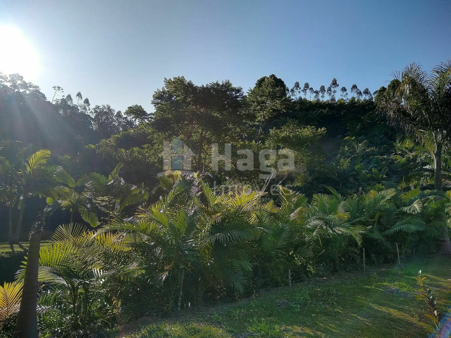 Chácara à venda de 4 ha em Massaranduba, SC, Brasil