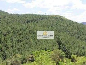 Plot for sale of 11,362 acres in Ponta Grossa, PR, Brazil