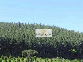 Terreno à venda de 4.598 ha em Ponta Grossa, PR, Brasil