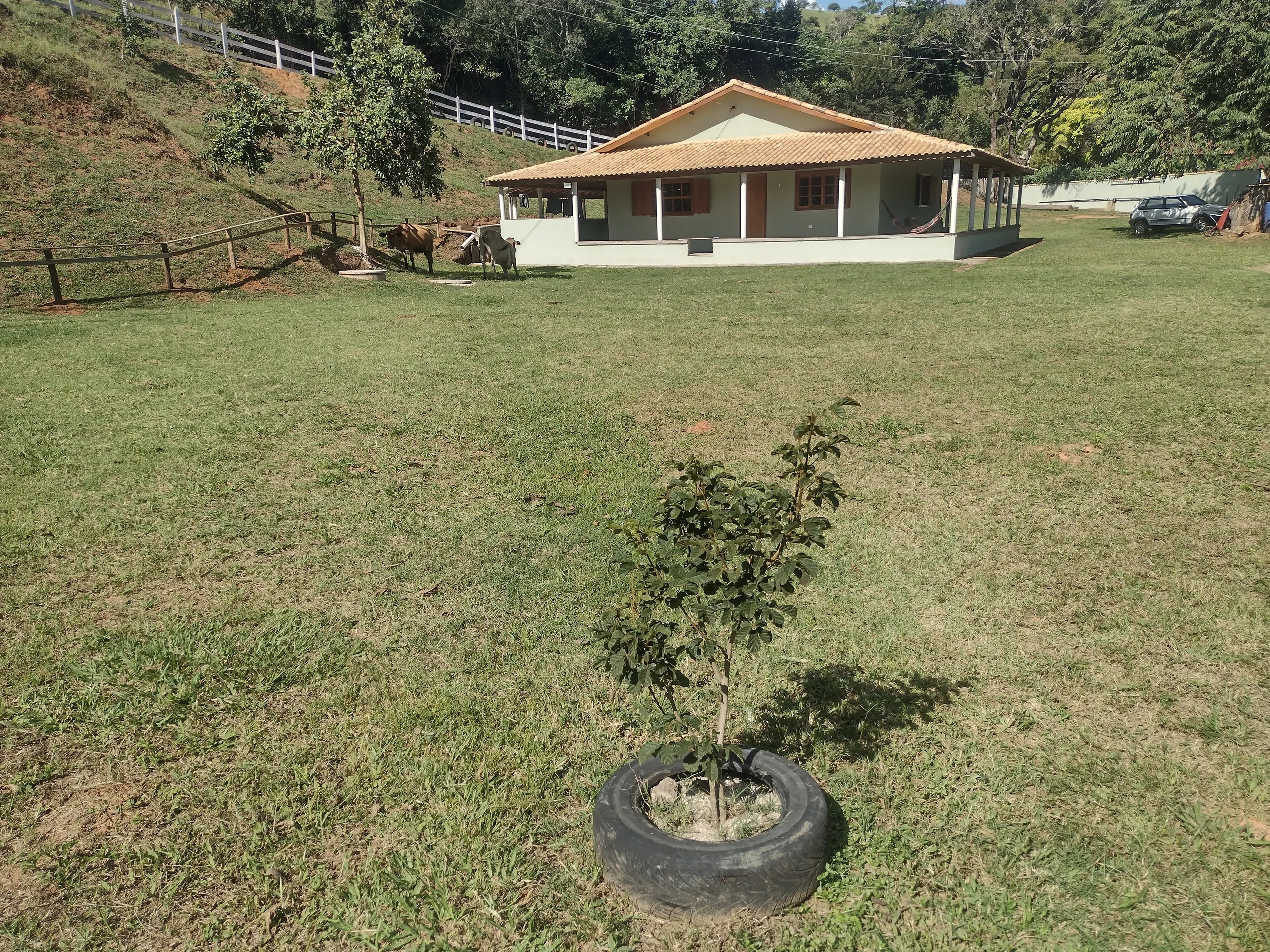 Chácara à venda de 3.000 m² em Paraisópolis, MG, Brasil