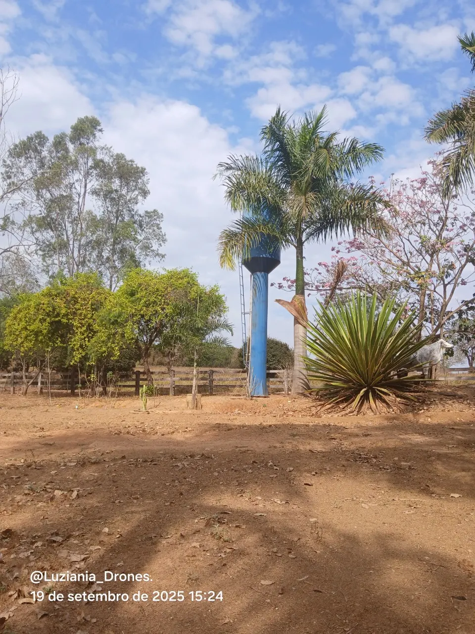 Fazenda à venda de 48 ha em Luziânia, GO, Brasil
