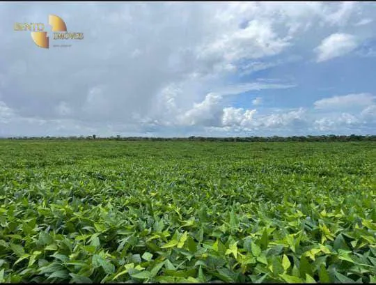 Fazenda à venda e para Arrendar de 6.000 ha em Juara, MT, Brasil