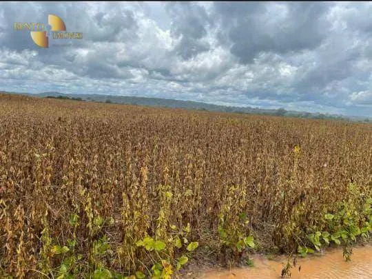 Farm for sale and to rent of 14,826 acres in Juara, MT, Brazil