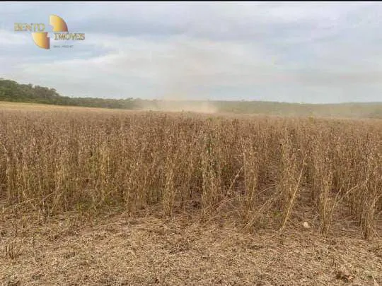 Farm for sale and to rent of 14,826 acres in Juara, MT, Brazil