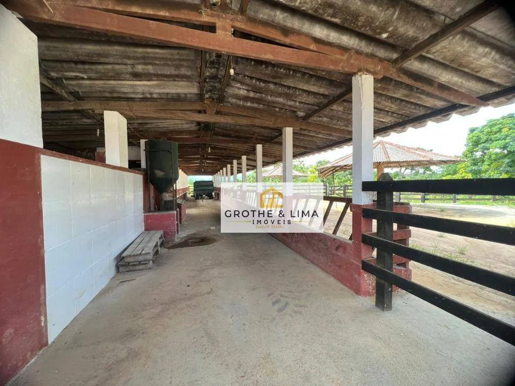 Fazenda à venda de 194 ha em Canas, SP, Brasil