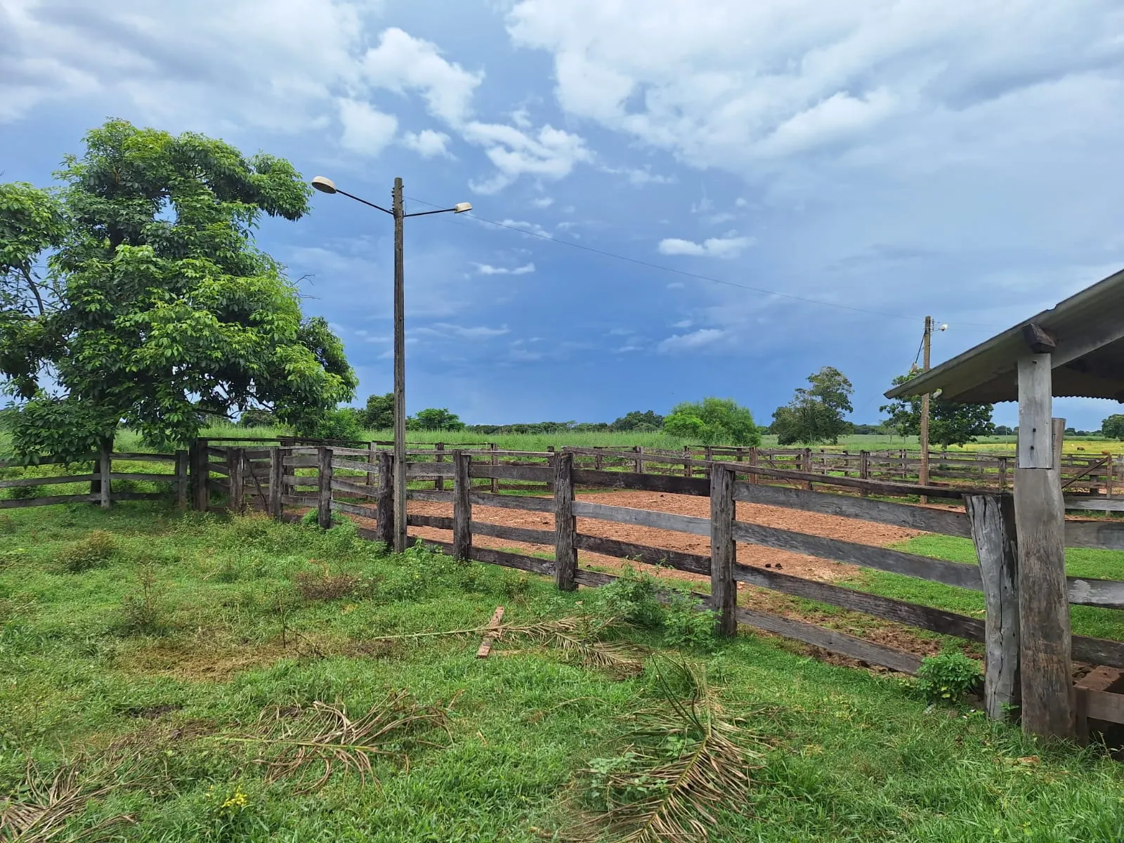 Fazenda à venda de 493 ha em Arenópolis, GO, Brasil