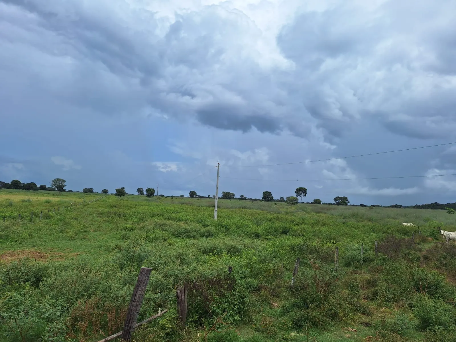 Fazenda à venda de 493 ha em Arenópolis, GO, Brasil