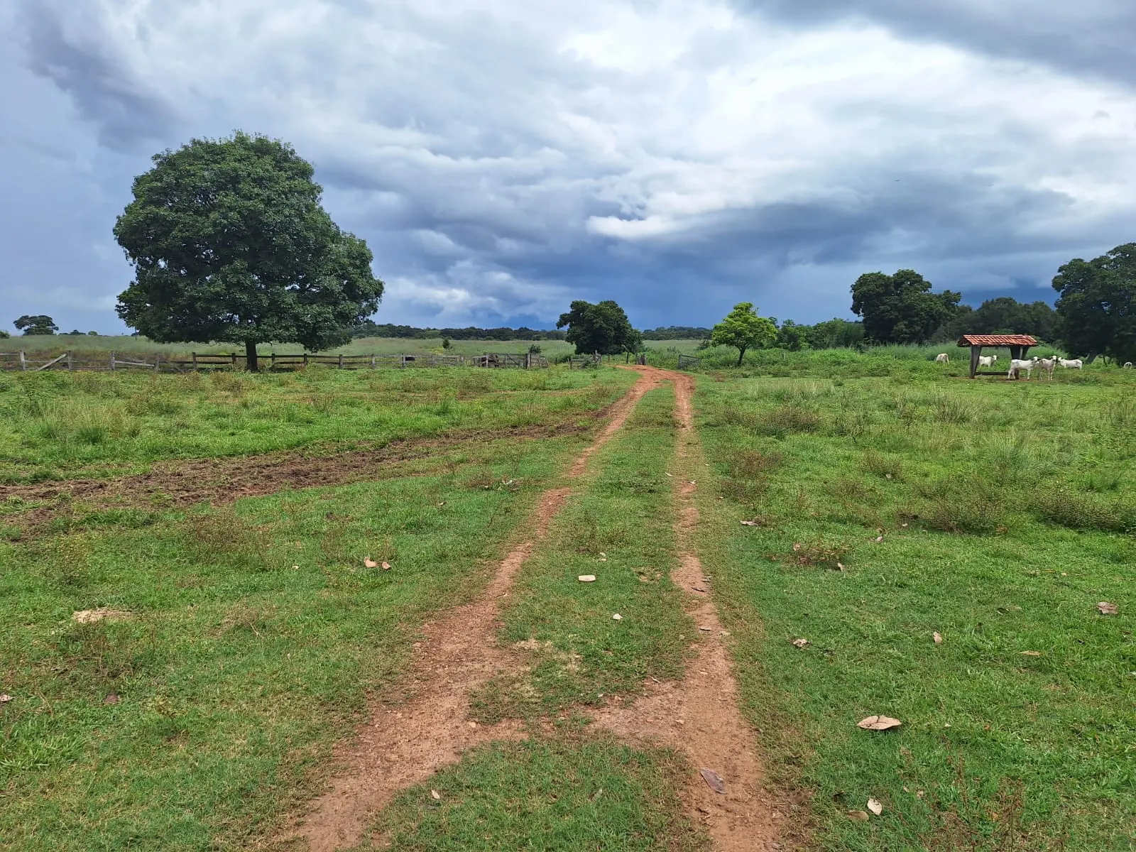 Fazenda à venda de 493 ha em Arenópolis, GO, Brasil