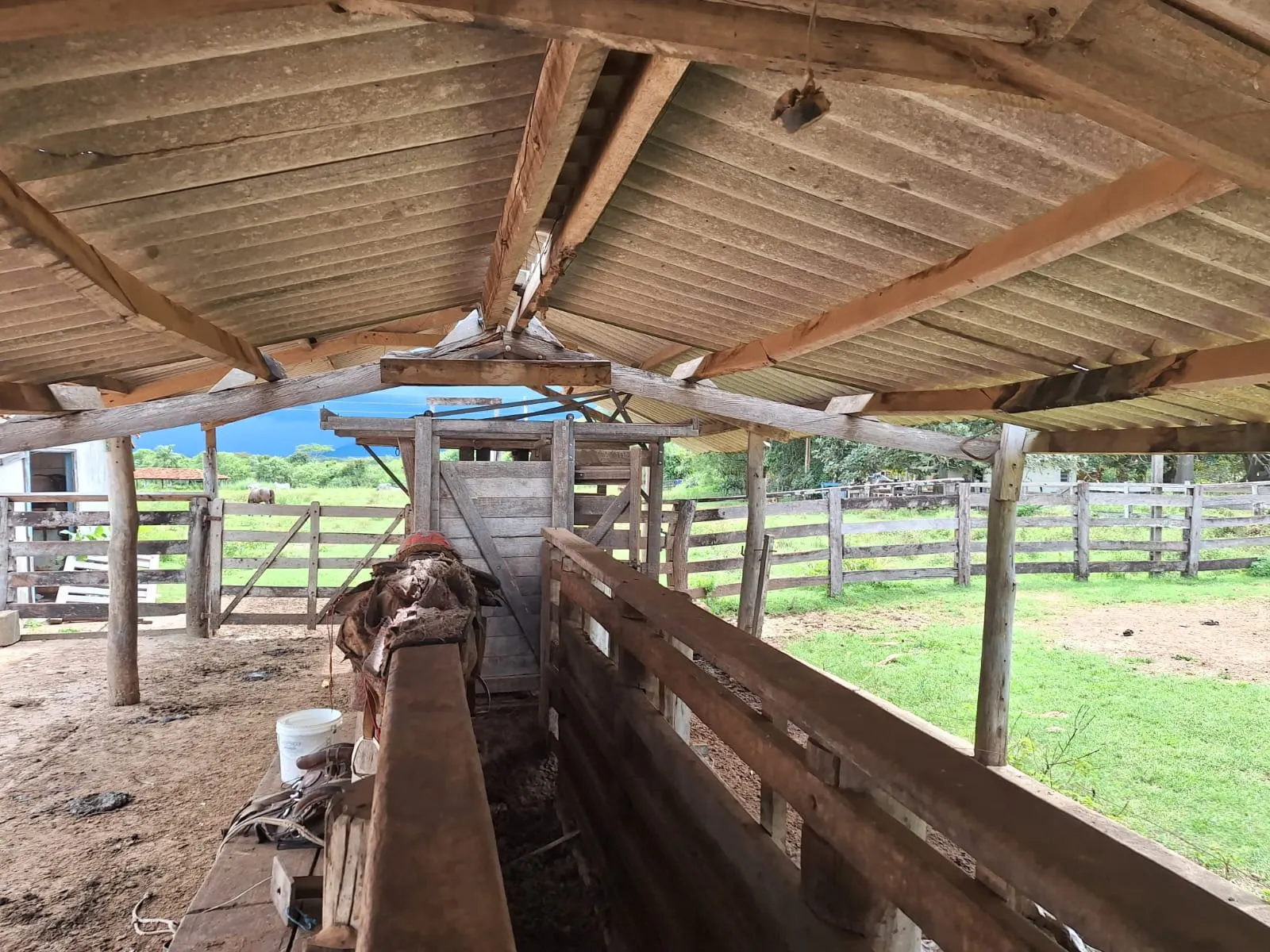 Fazenda à venda de 493 ha em Arenópolis, GO, Brasil
