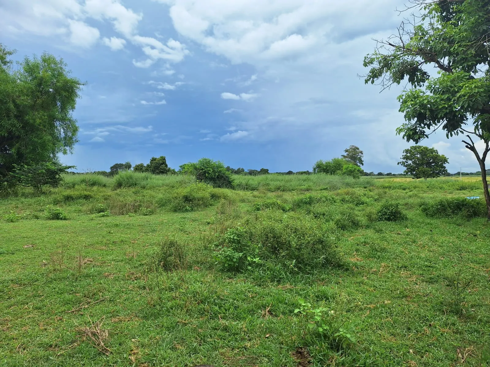 Fazenda à venda de 493 ha em Arenópolis, GO, Brasil