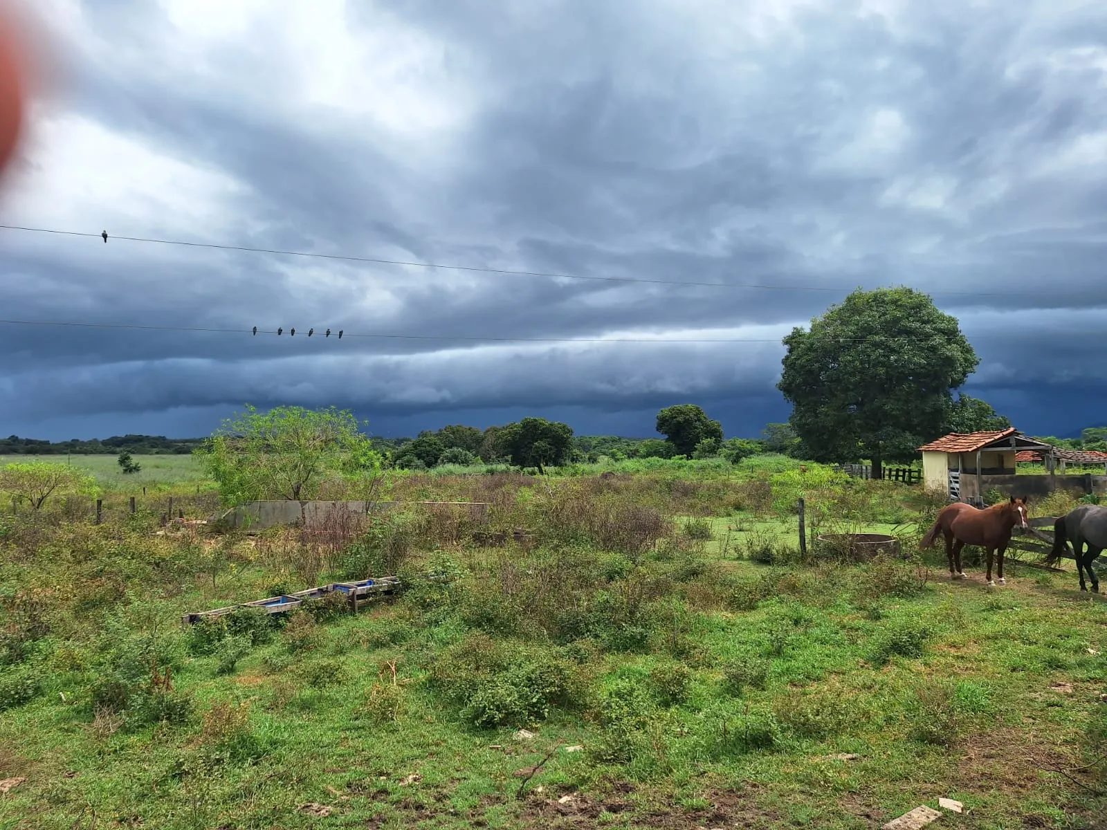 Fazenda à venda de 493 ha em Arenópolis, GO, Brasil