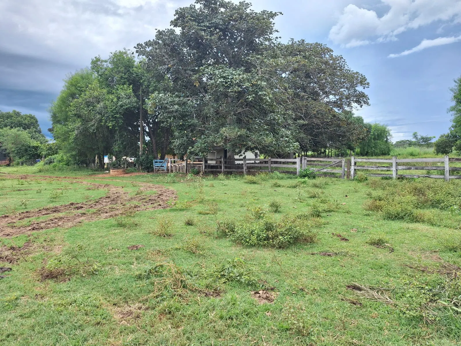Fazenda à venda de 493 ha em Arenópolis, GO, Brasil