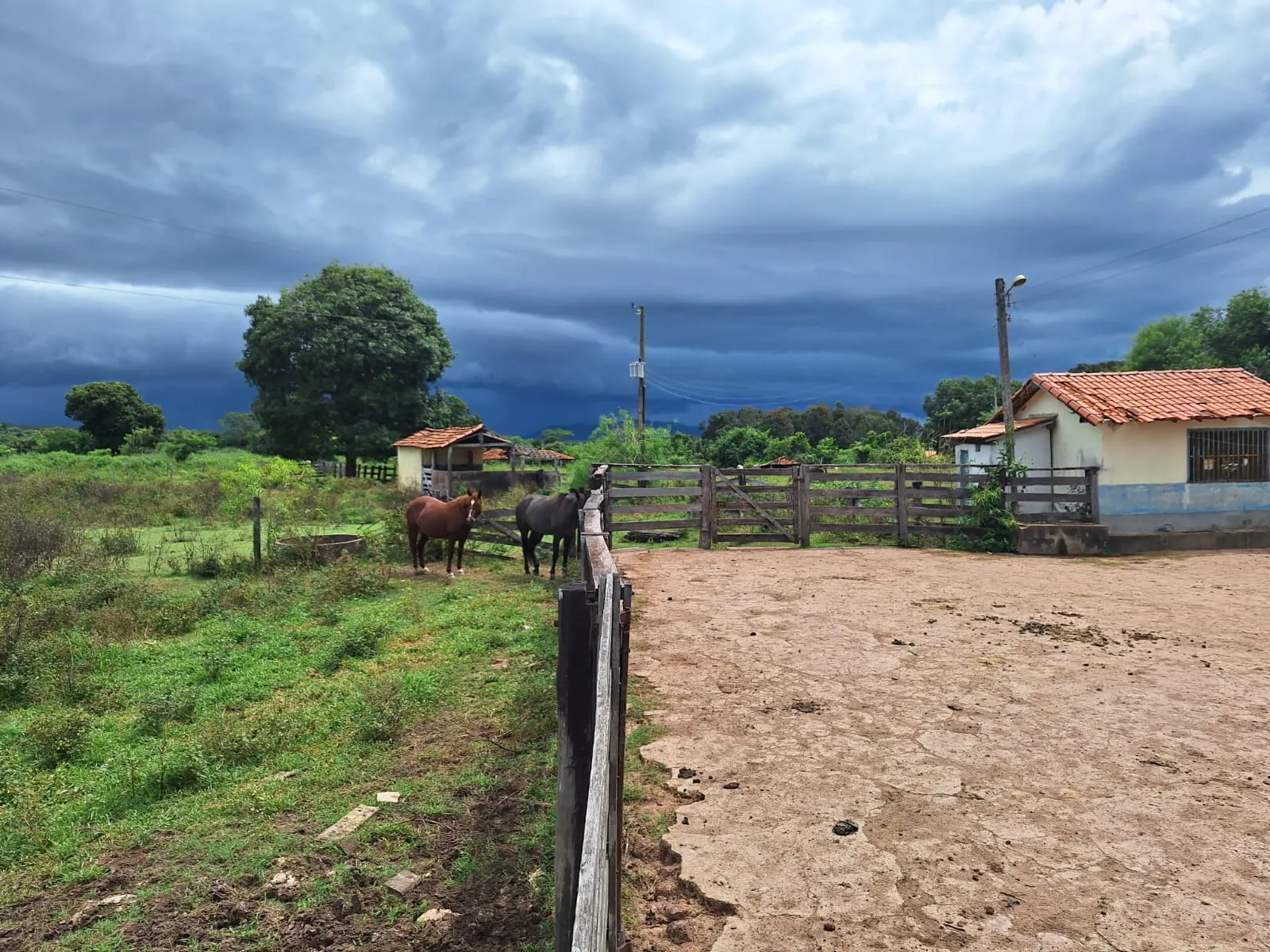 Fazenda à venda de 493 ha em Arenópolis, GO, Brasil