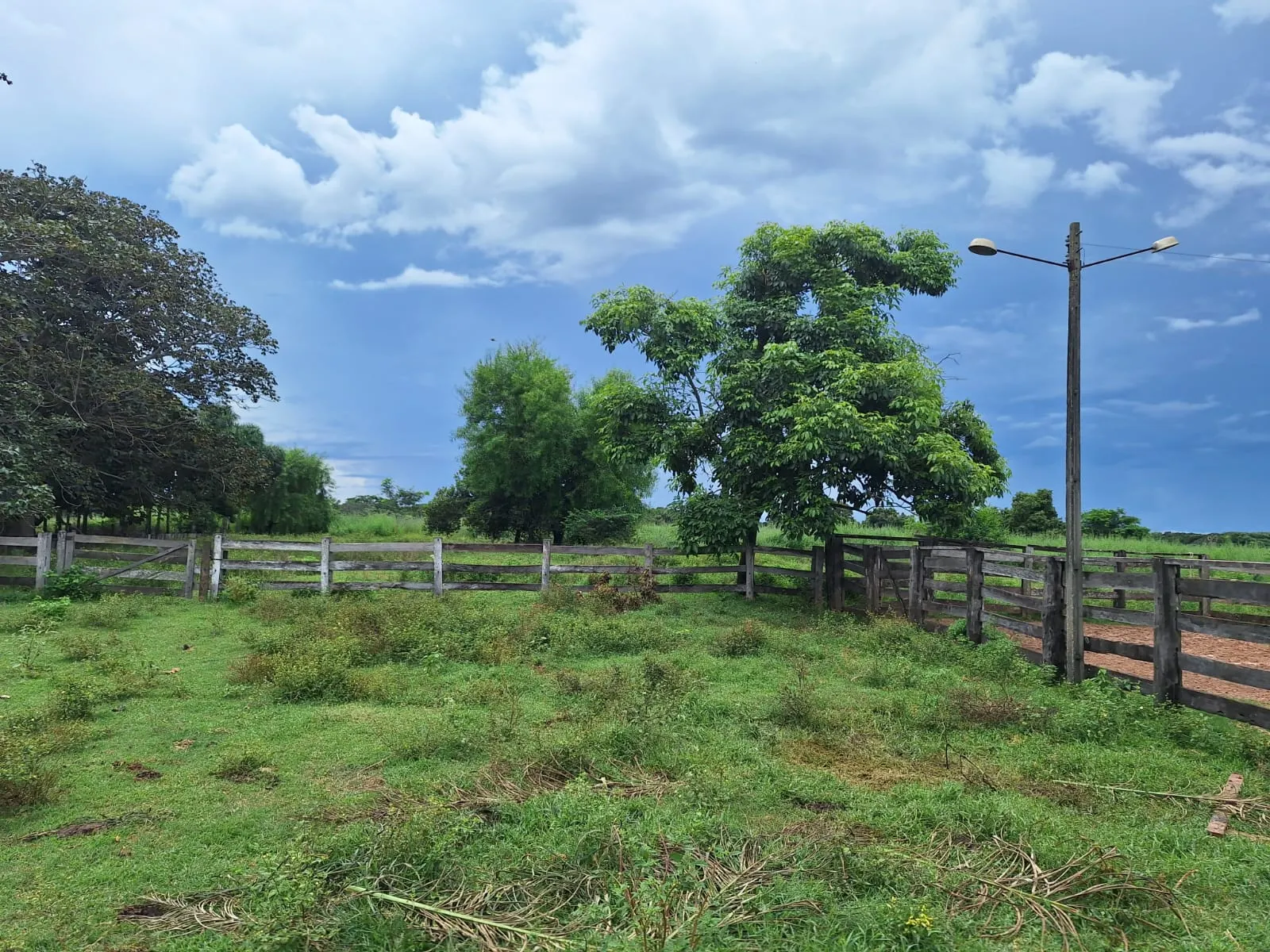 Fazenda à venda de 493 ha em Arenópolis, GO, Brasil