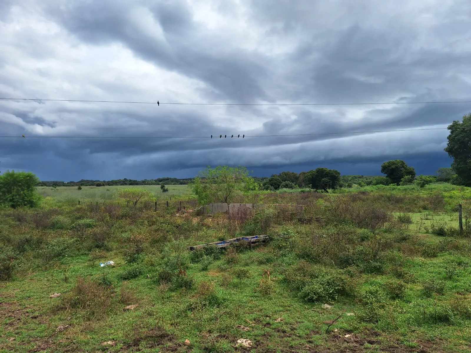 Fazenda à venda de 493 ha em Arenópolis, GO, Brasil