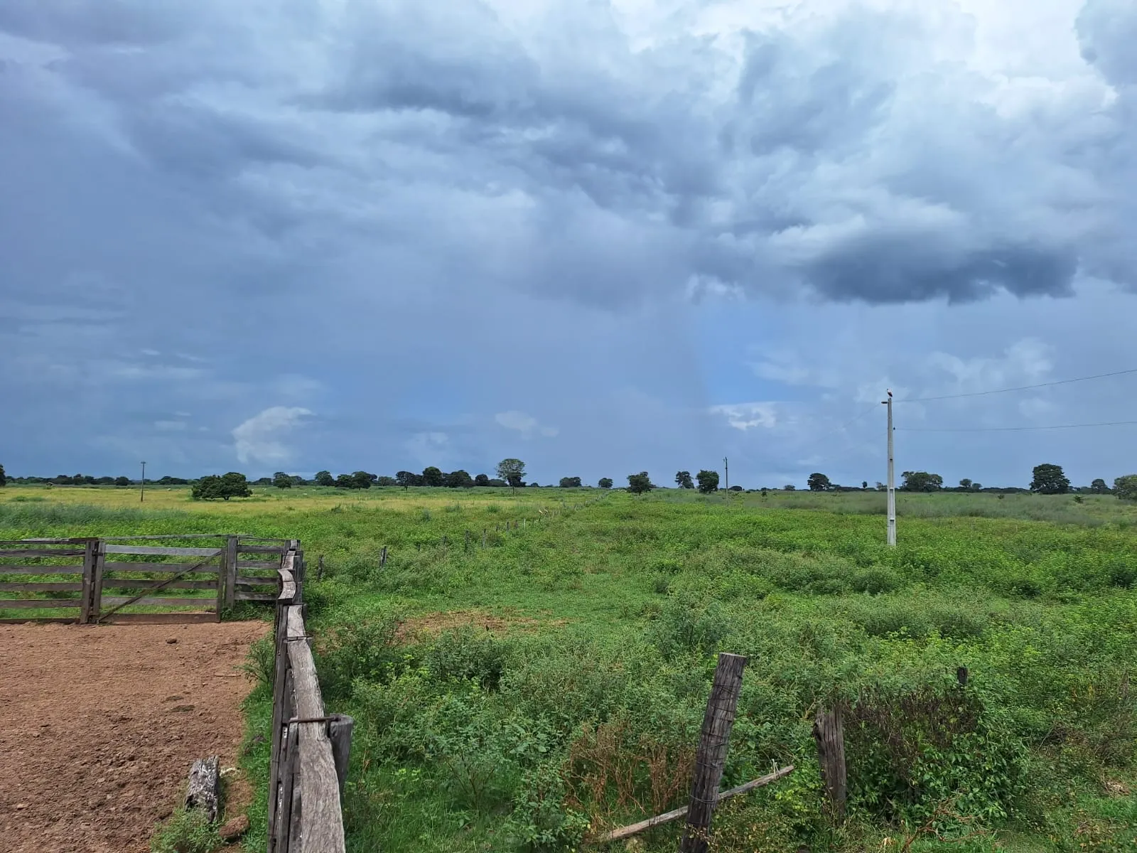 Fazenda à venda de 493 ha em Arenópolis, GO, Brasil