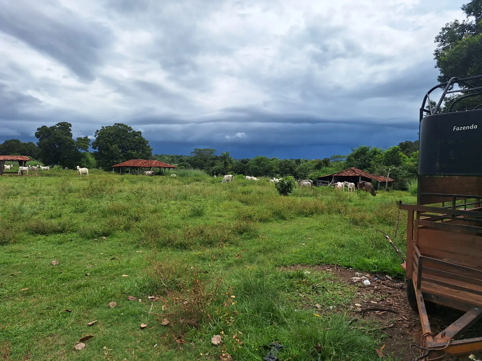 Fazenda à venda de 493 ha em Arenópolis, GO, Brasil