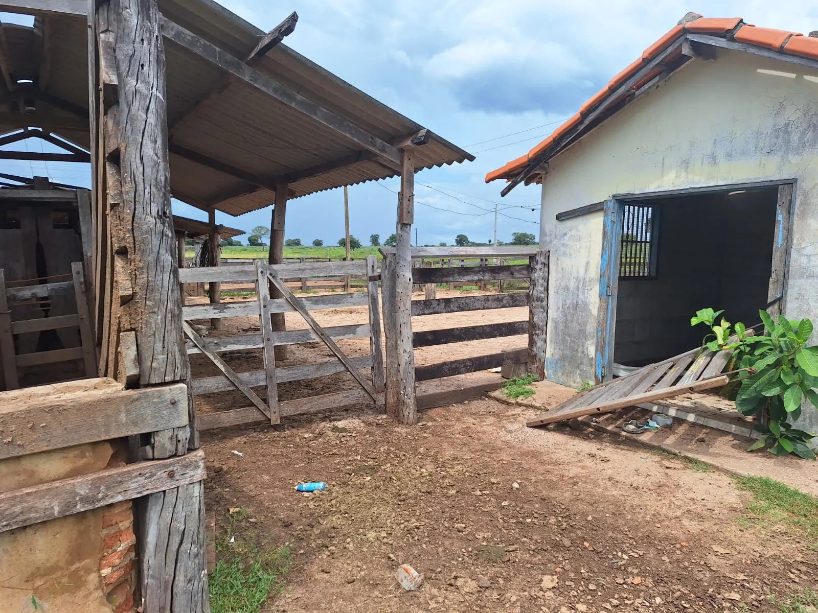 Fazenda à venda de 493 ha em Arenópolis, GO, Brasil