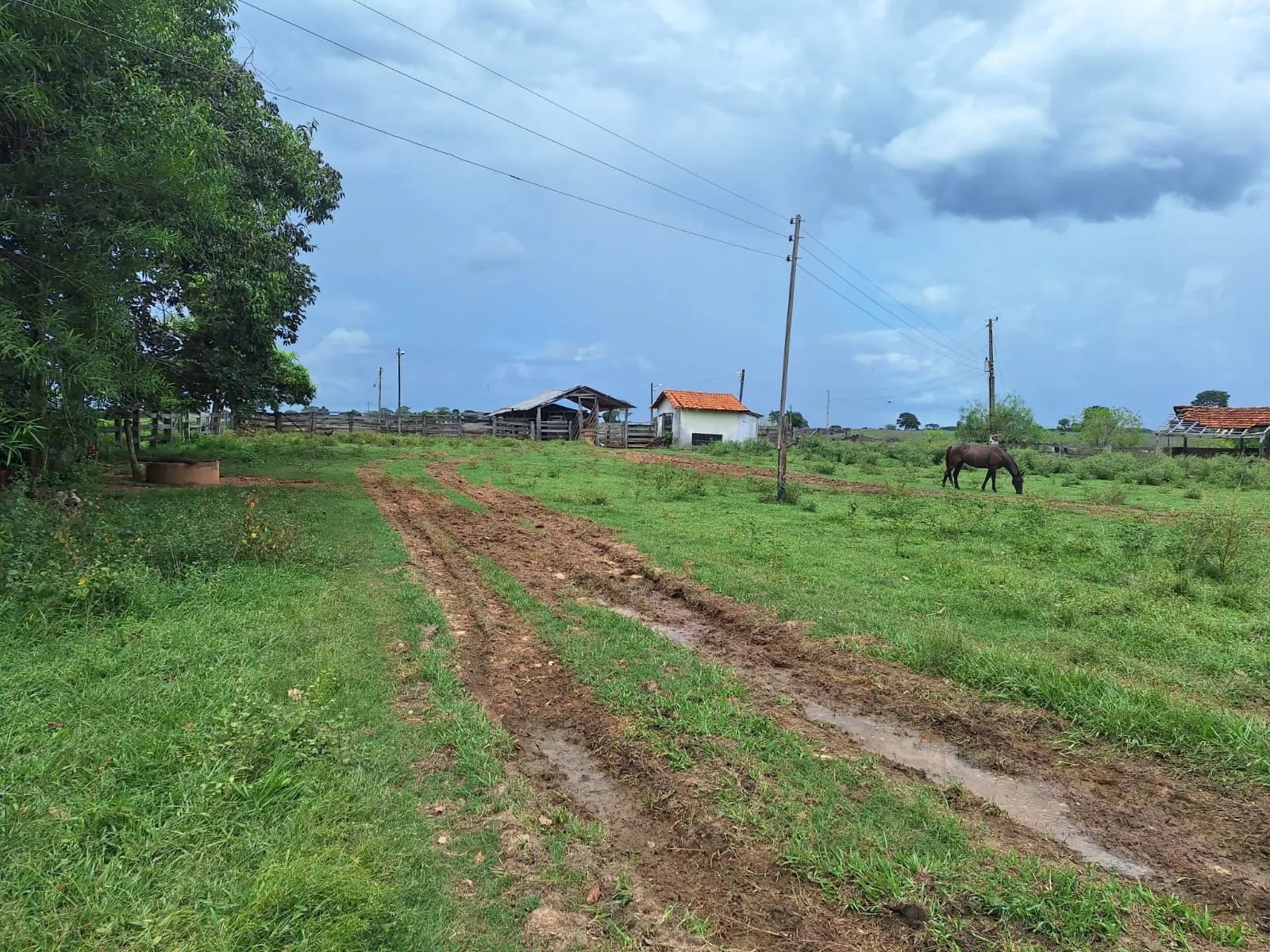 Fazenda à venda de 493 ha em Arenópolis, GO, Brasil