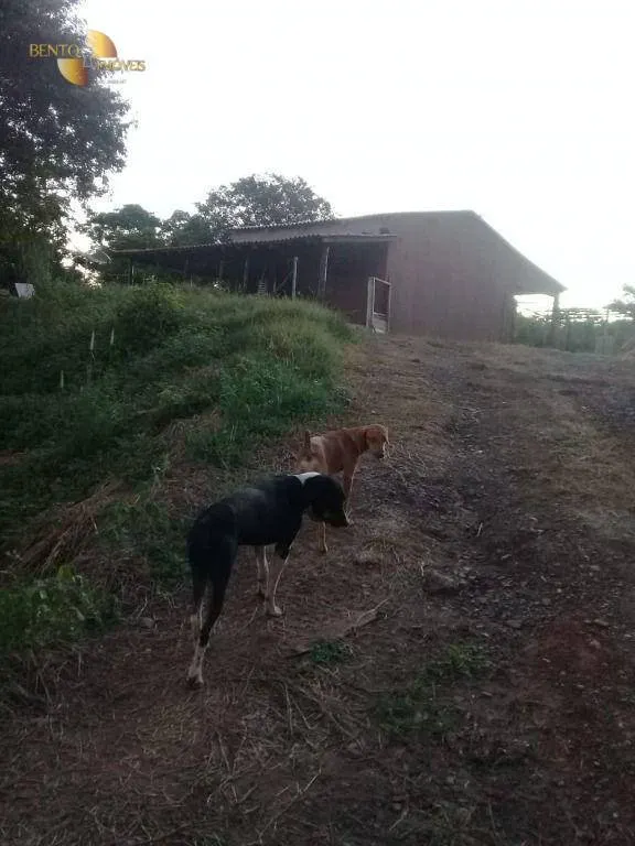 Small farm for sale of 111 acres in Acorizal, MT, Brazil