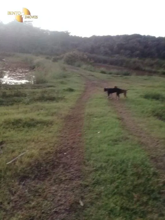 Small farm for sale of 111 acres in Acorizal, MT, Brazil