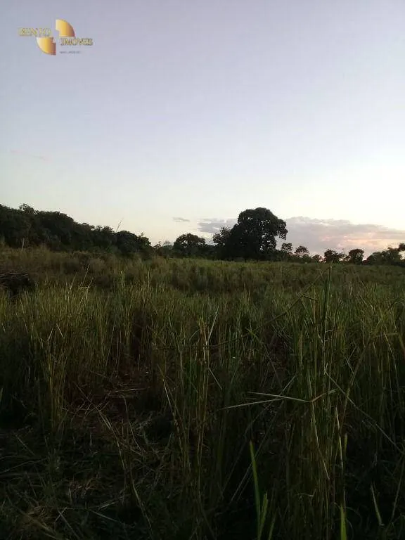Small farm for sale of 111 acres in Acorizal, MT, Brazil