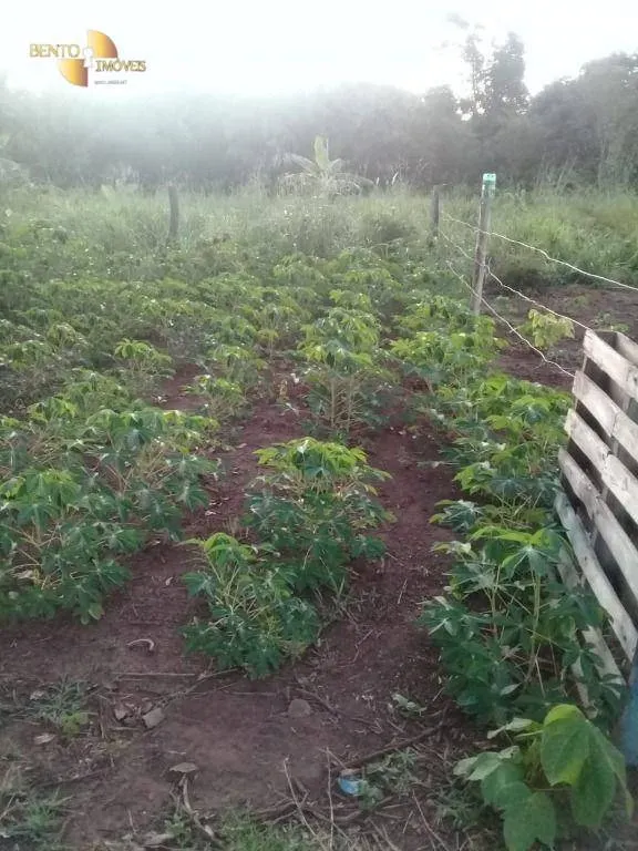 Small farm for sale of 111 acres in Acorizal, MT, Brazil