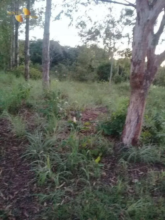 Small farm for sale of 111 acres in Acorizal, MT, Brazil