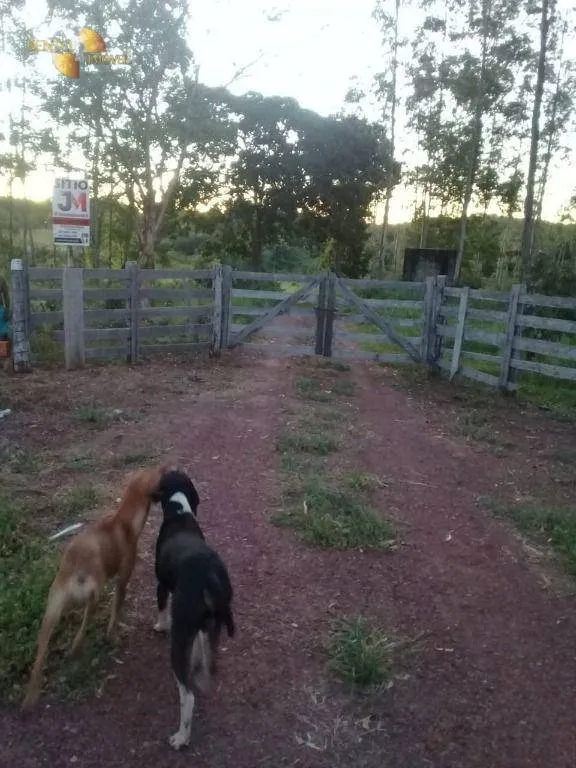 Small farm for sale of 111 acres in Acorizal, MT, Brazil