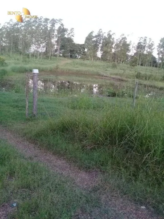 Small farm for sale of 111 acres in Acorizal, MT, Brazil