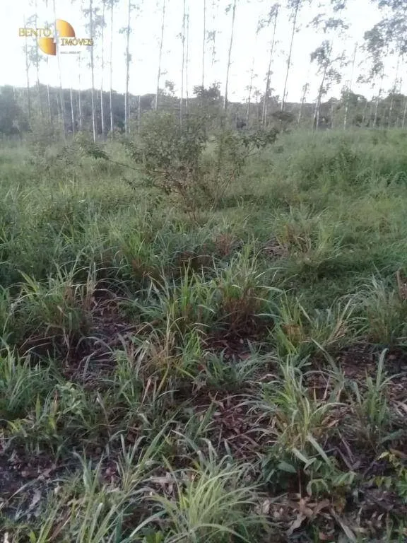 Small farm for sale of 111 acres in Acorizal, MT, Brazil