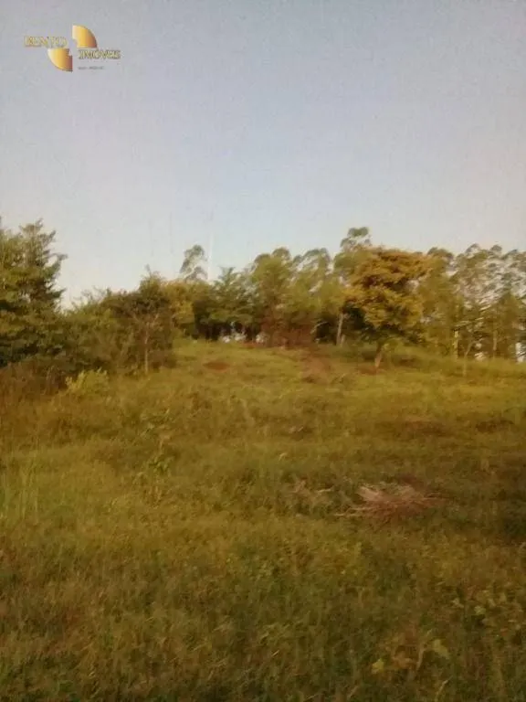 Small farm for sale of 111 acres in Acorizal, MT, Brazil