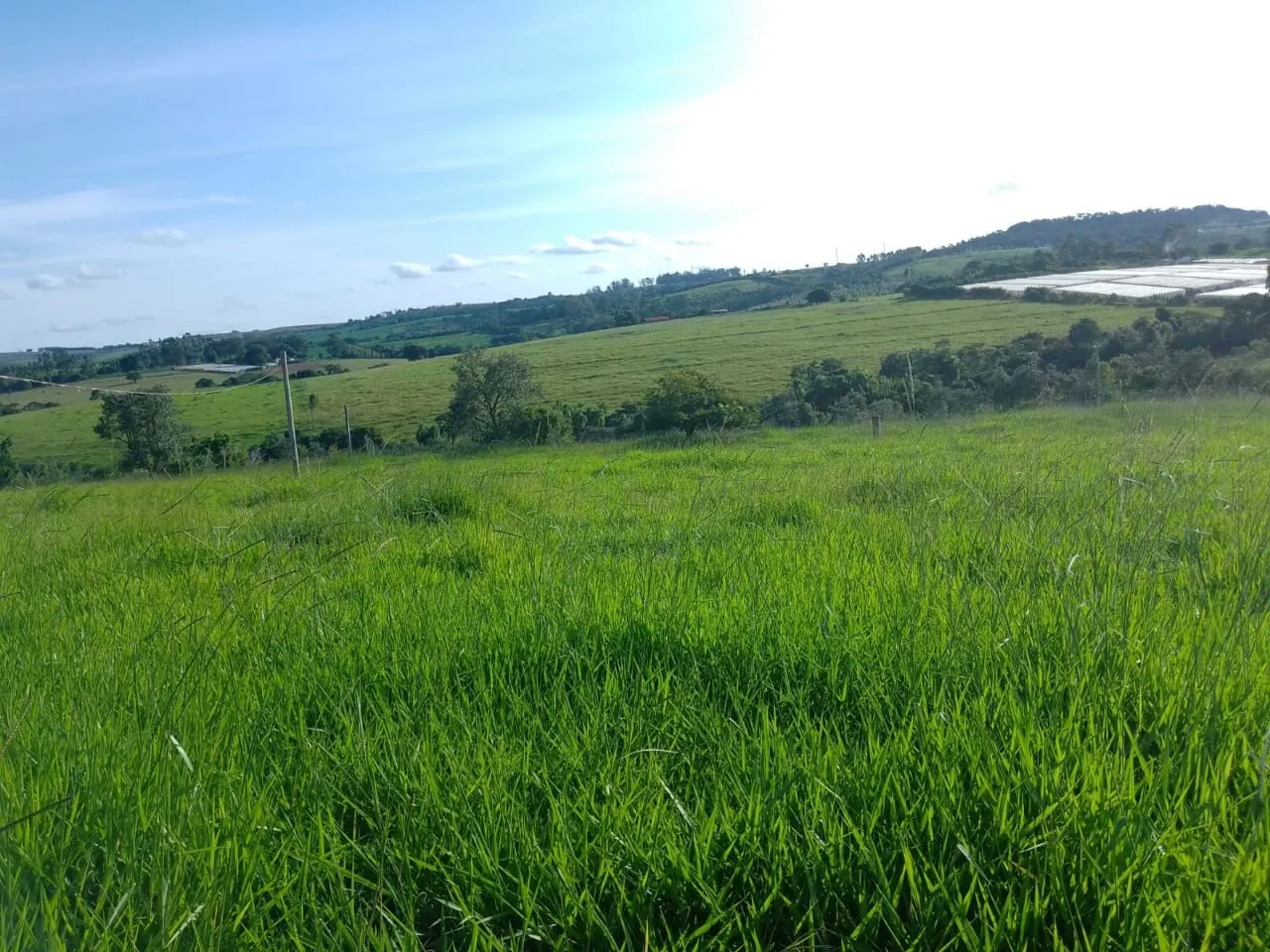 Sítio à venda de 40 ha em Itapetininga, SP, Brasil