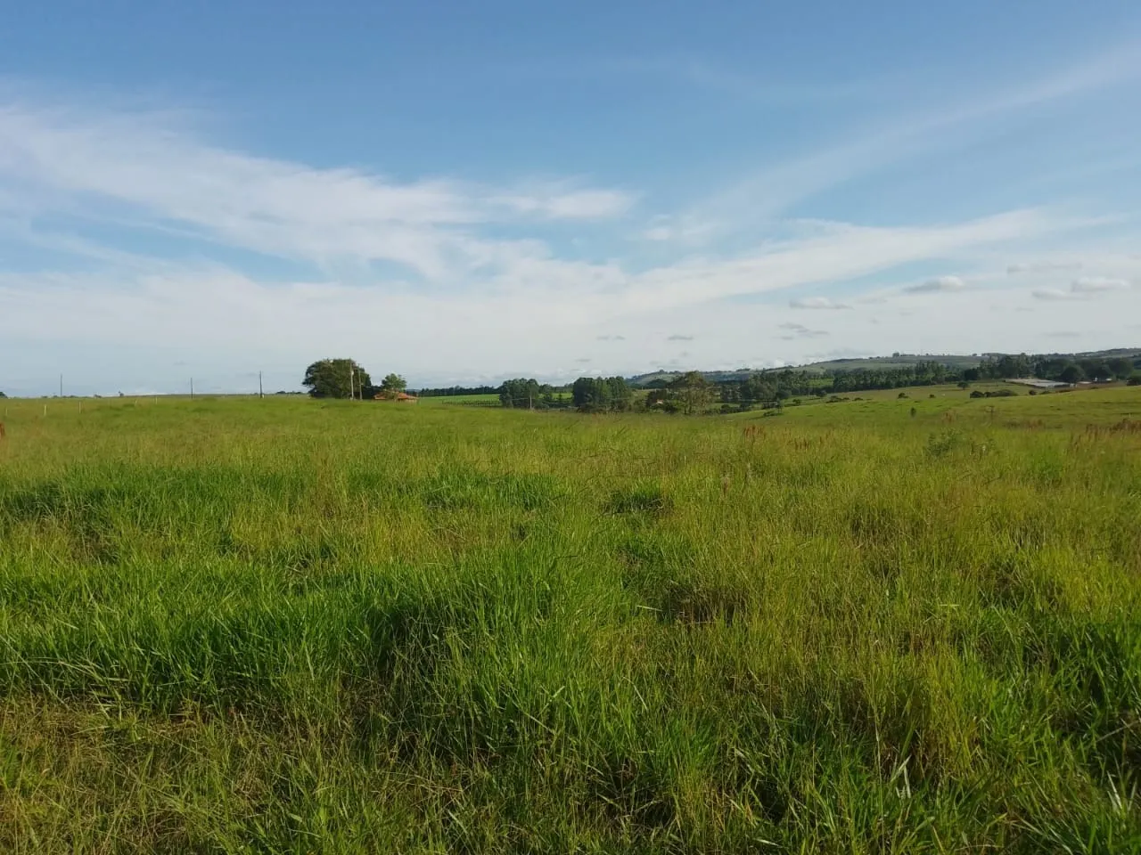 Sítio à venda de 40 ha em Itapetininga, SP, Brasil