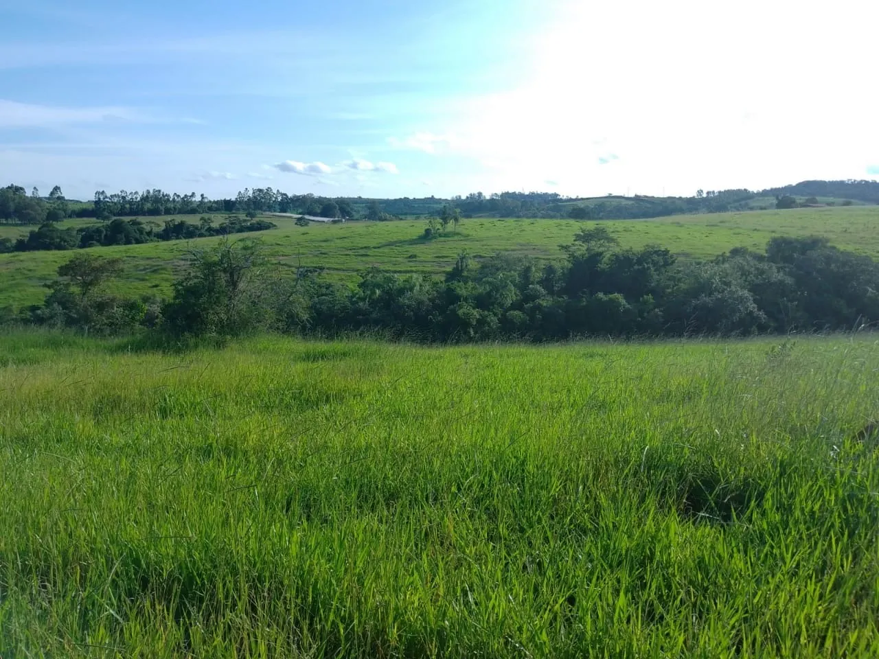 Sítio à venda de 40 ha em Itapetininga, SP, Brasil