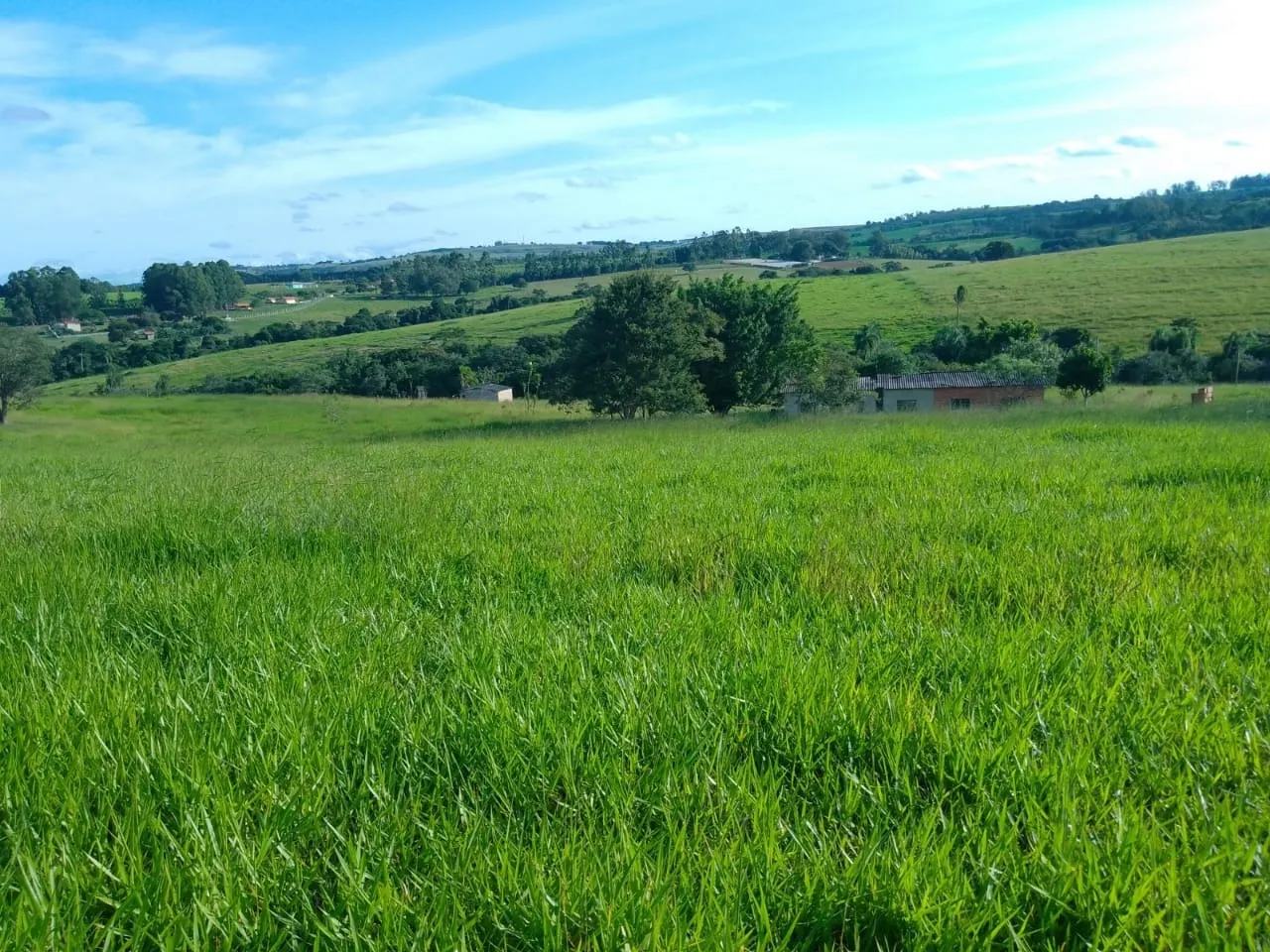 Sítio à venda de 40 ha em Itapetininga, SP, Brasil