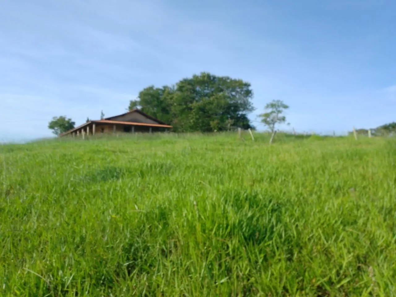 Sítio à venda de 40 ha em Itapetininga, SP, Brasil